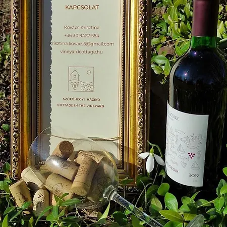 Szőlőhegyi Házikó - In The Vineyard Balatonszemes