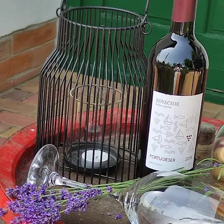 Szőlőhegyi Házikó - In The Vineyard