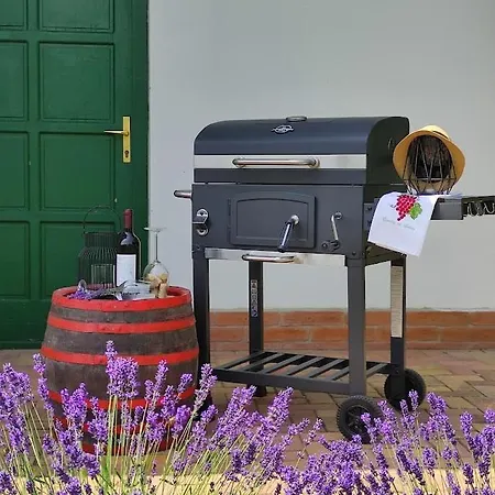 Szőlőhegyi Házikó - In The Vineyard * Balatonszemes