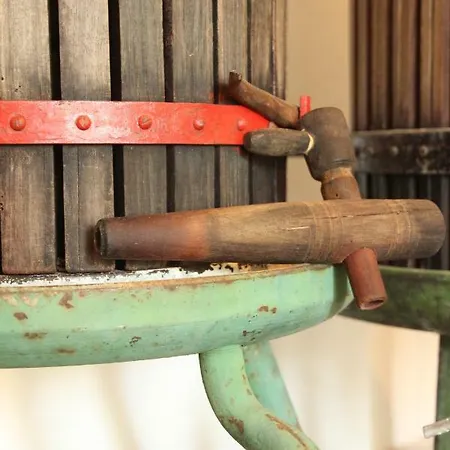 Szőlőhegyi Házikó - In The Vineyard Nyaraló