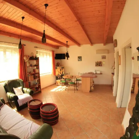 Szolohegyi Haziko - In The Vineyard Holiday home *