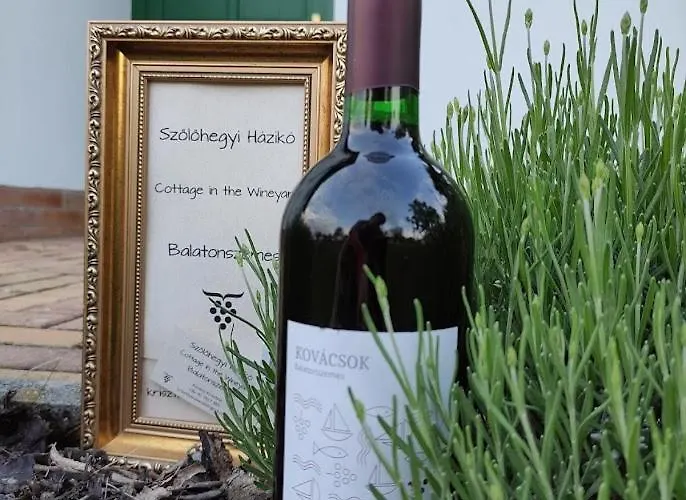 Szolohegyi Haziko - In The Vineyard Semesterbostad