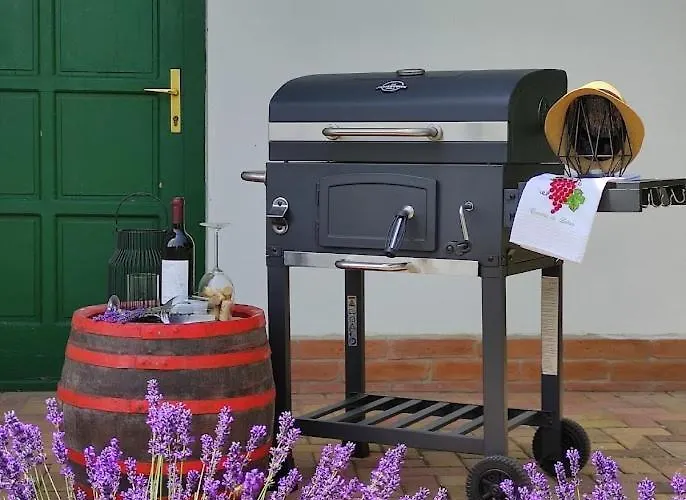Szolohegyi Haziko - In The Vineyard * Balatonszárszó