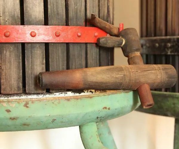 Szolohegyi Haziko - In The Vineyard Semesterbostad