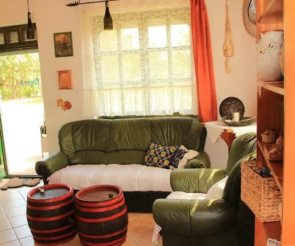 Semesterbostad Szolohegyi Haziko - In The Vineyard Balatonszárszó