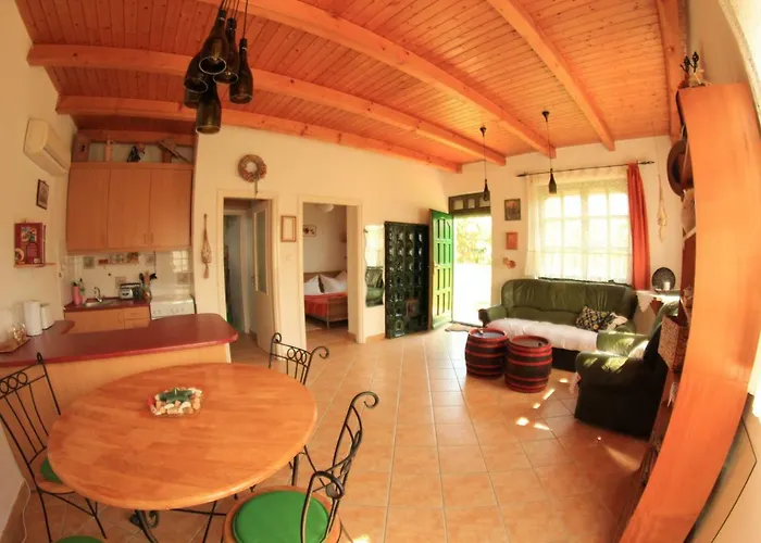 Semesterbostad Szolohegyi Haziko - In The Vineyard *