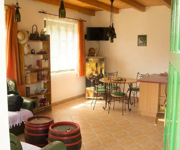 Semesterbostad Szolohegyi Haziko - In The Vineyard *